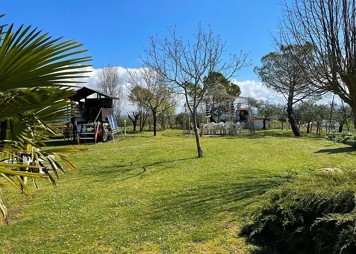 Апартаменты Con Piscina E Giardino A